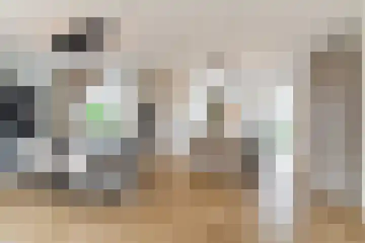 Koningsoordlaan 240 Berkel-Enschot thumbnail 19