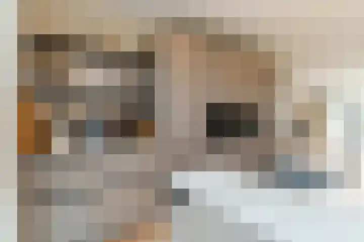 Koningsoordlaan 240 Berkel-Enschot thumbnail 23