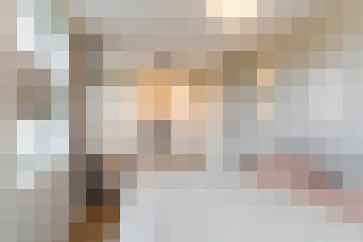 Koningsoordlaan 240 Berkel-Enschot thumbnail 30