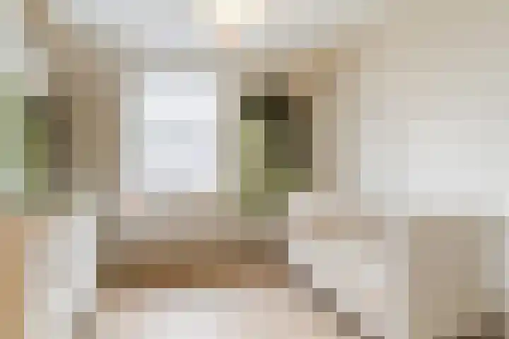 Koningsoordlaan 240 Berkel-Enschot thumbnail 31