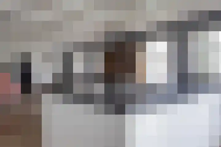 Koningspade 36 Hoogwoud thumbnail 10