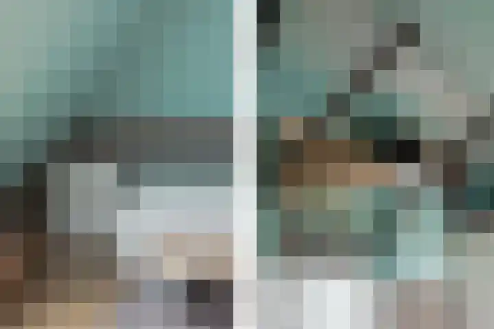 Koningspade 36 Hoogwoud thumbnail 15