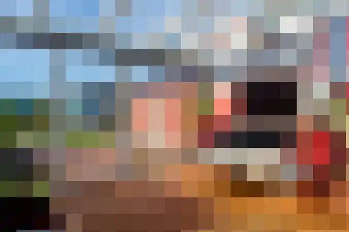 Koningspade 36 Hoogwoud thumbnail 21