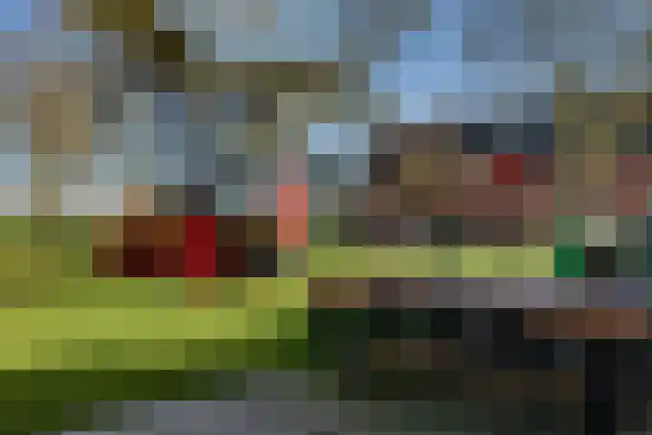 Koningspade 36 Hoogwoud thumbnail 33