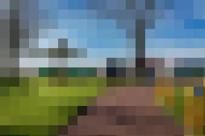 Koningspade 36 Hoogwoud thumbnail 34