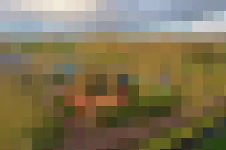 Koningspade 36 Hoogwoud thumbnail 47
