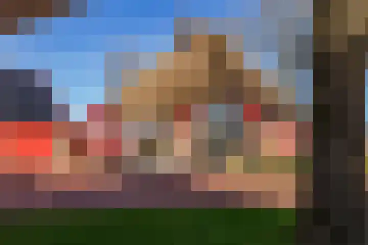 Koningspade 36 Hoogwoud thumbnail 5