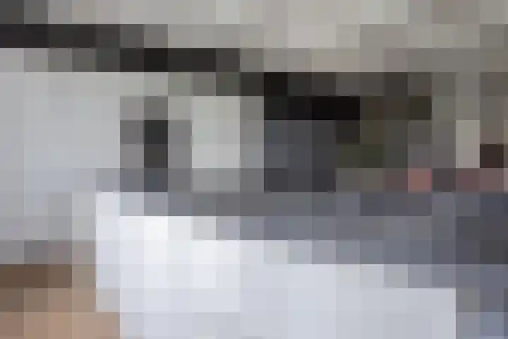 Koningspade 36 Hoogwoud thumbnail 9