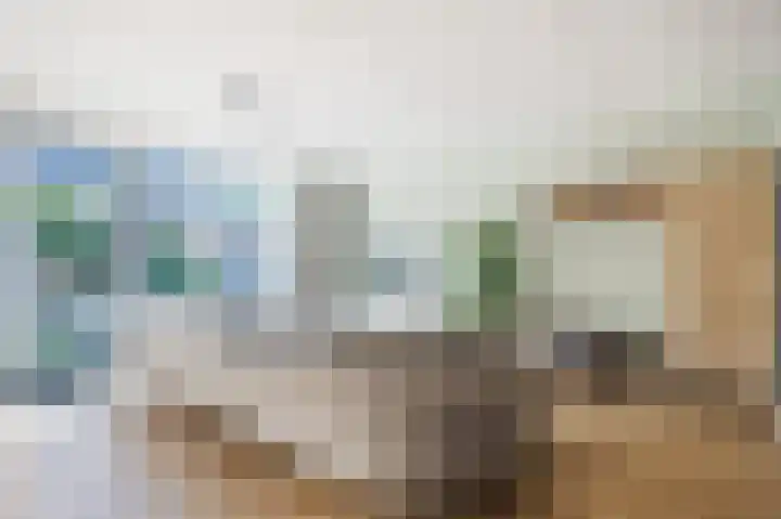 Koningspage 13 Driebruggen thumbnail 10