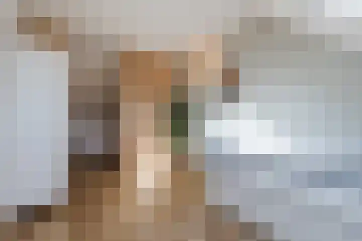 Koningspage 13 Driebruggen thumbnail 23
