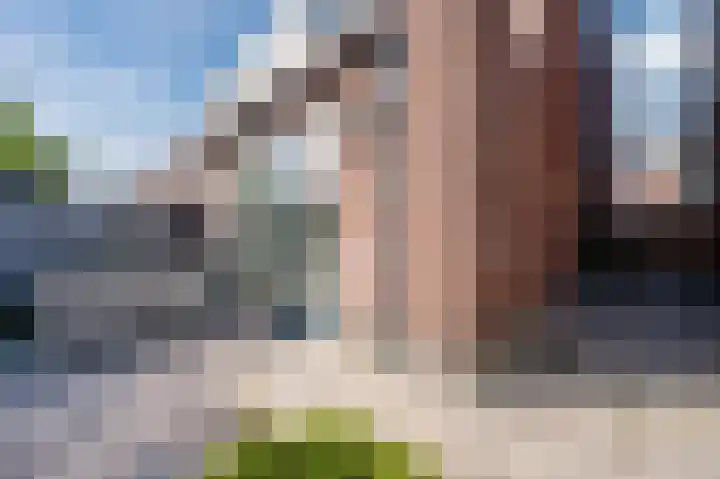 Koningspage 13 Driebruggen thumbnail 28