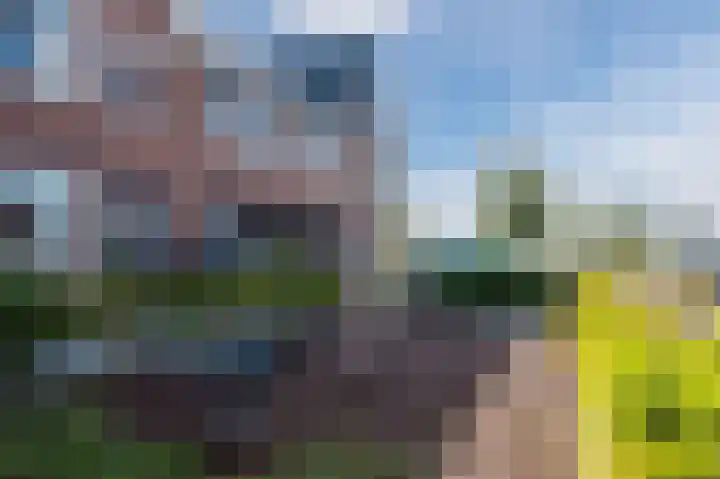 Koningspage 13 Driebruggen thumbnail 31