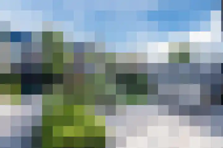 Koningspage 13 Driebruggen thumbnail 6