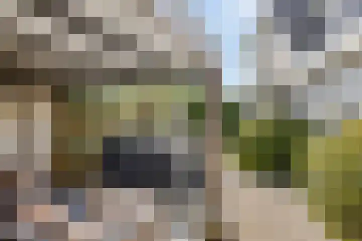 Koningspage 27 Nijkerk thumbnail 26