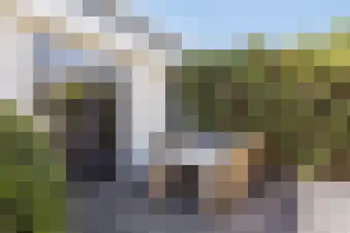 Koningspage 27 Nijkerk thumbnail 29