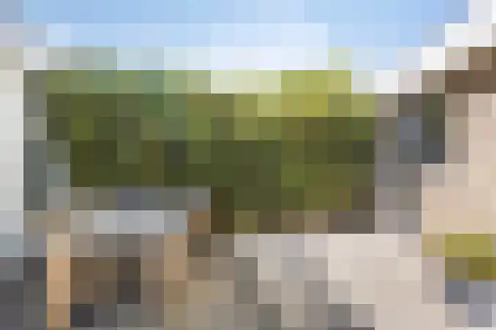 Koningspage 27 Nijkerk thumbnail 30