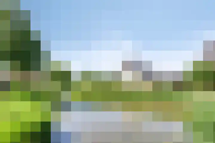 Koningspage 27 Nijkerk thumbnail 33