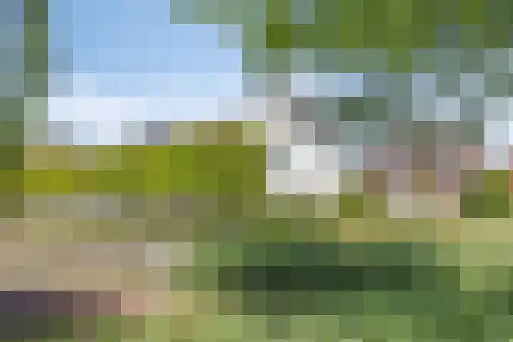 Koningspage 27 Nijkerk thumbnail 34