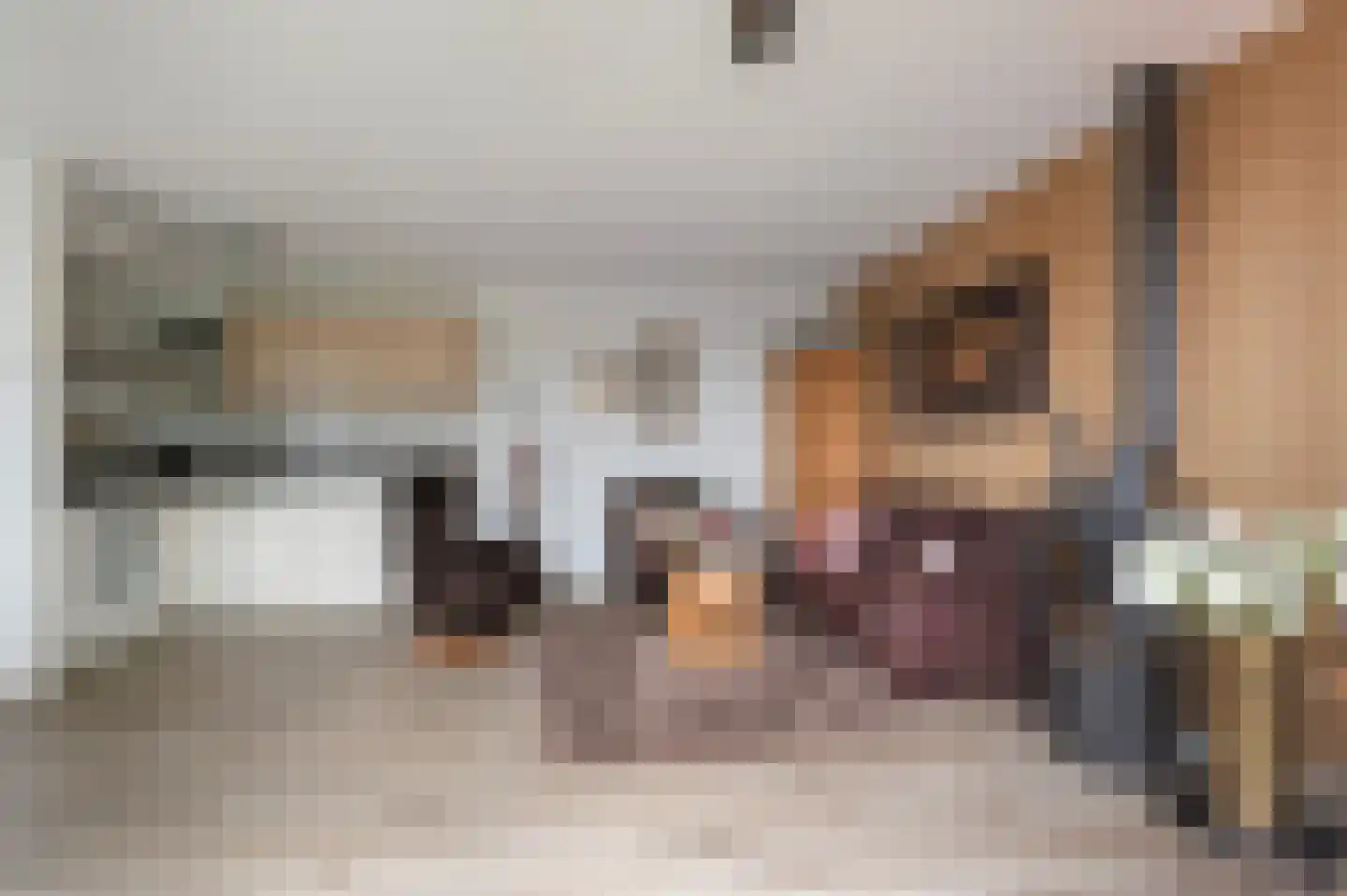 Koningspage 3 K Beekbergen thumbnail 12