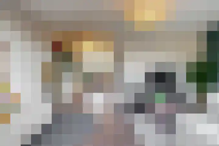 Koningspage 4 Driebruggen thumbnail 11
