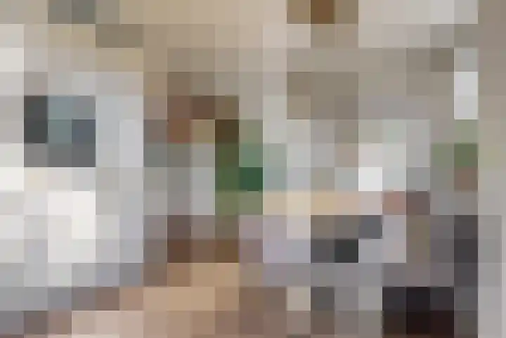 Koningspage 4 Driebruggen thumbnail 13