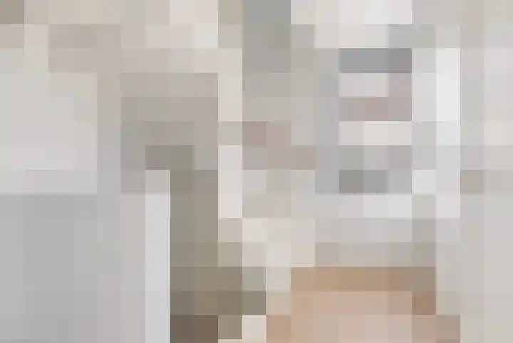 Koningspage 4 Driebruggen thumbnail 16