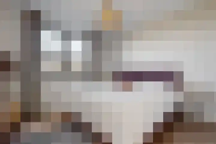 Koningspage 4 Driebruggen thumbnail 17