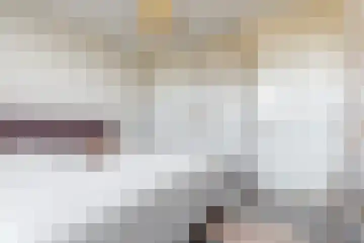 Koningspage 4 Driebruggen thumbnail 18