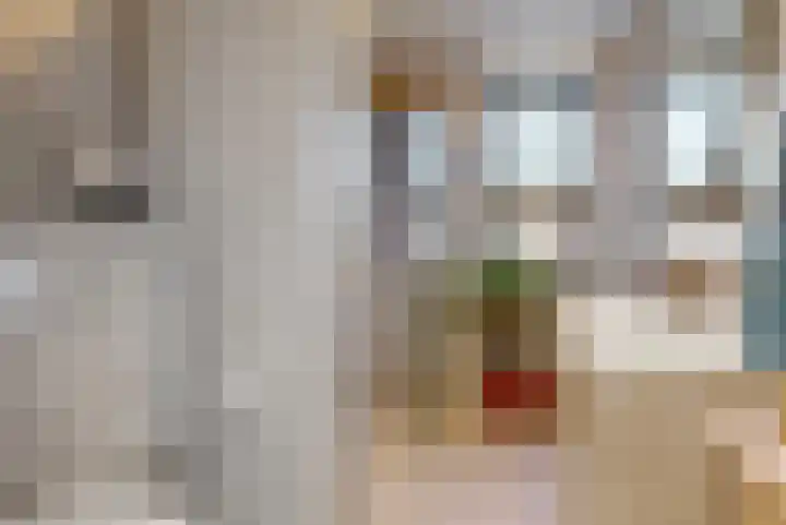 Koningspage 4 Driebruggen thumbnail 23