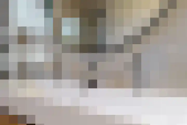 Koningspage 4 Driebruggen thumbnail 24