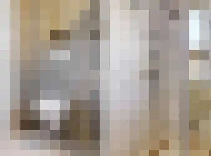 Koningspage 4 Driebruggen thumbnail 25