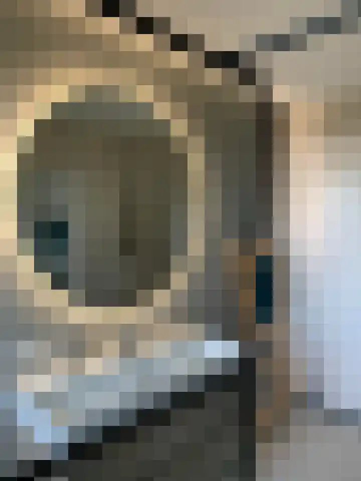 Koningspage 4 Driebruggen thumbnail 26