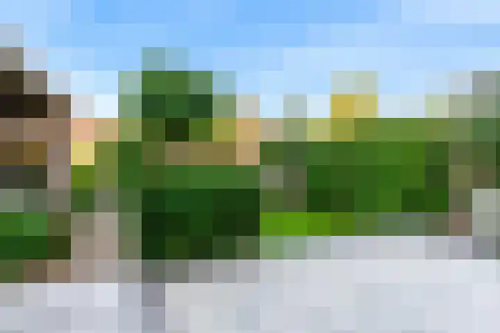 Koningspage 4 Driebruggen thumbnail 29