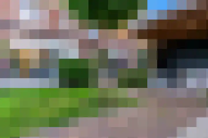 Koningspage 4 Driebruggen thumbnail 30