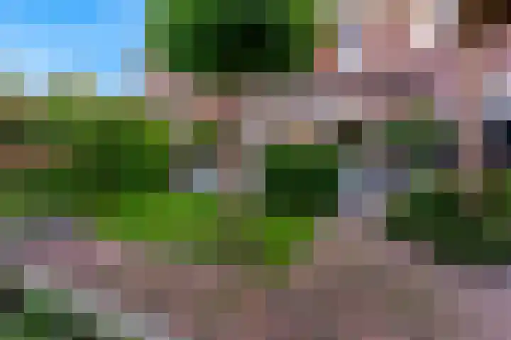 Koningspage 4 Driebruggen thumbnail 31