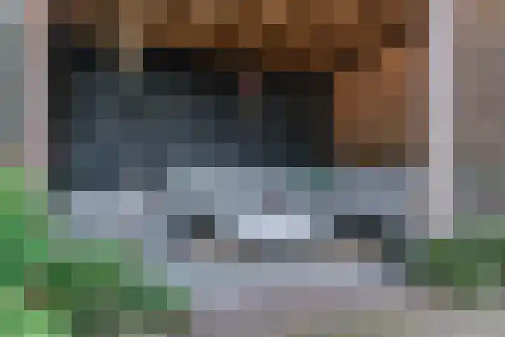 Koningspage 4 Driebruggen thumbnail 32