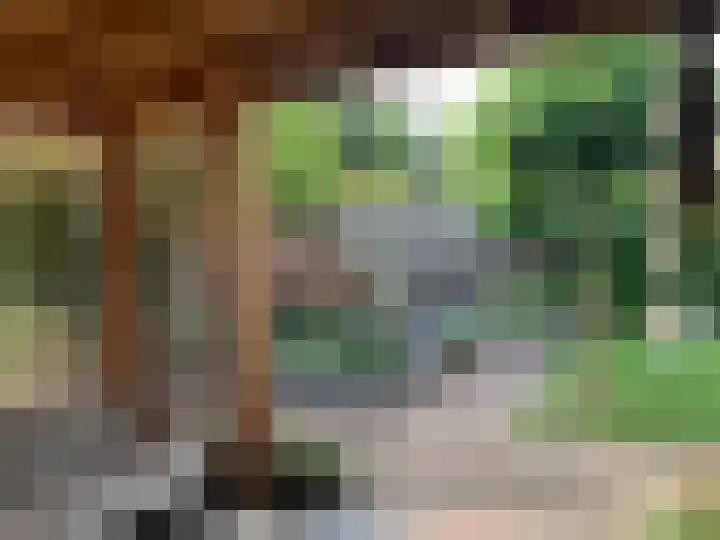 Koningspage 4 Driebruggen thumbnail 33