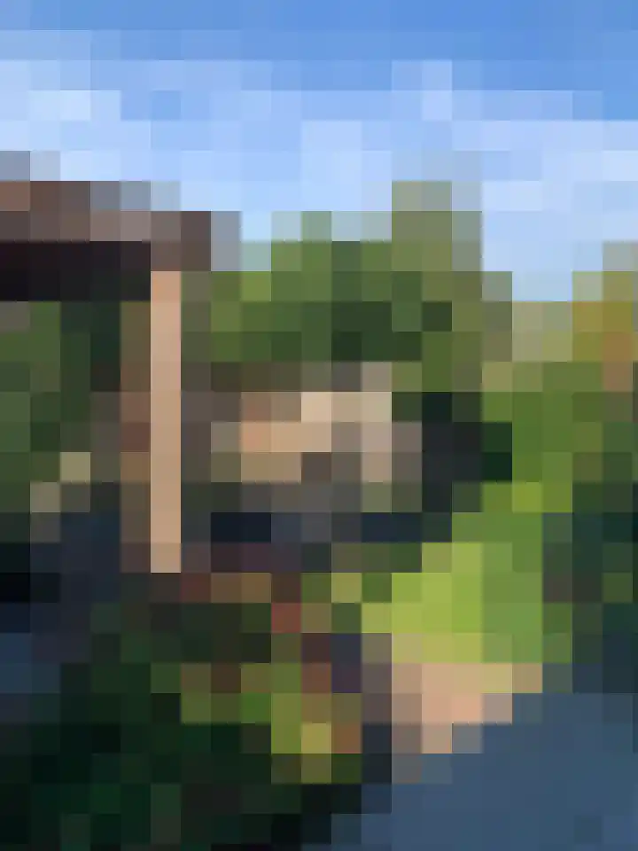 Koningspage 4 Driebruggen thumbnail 34