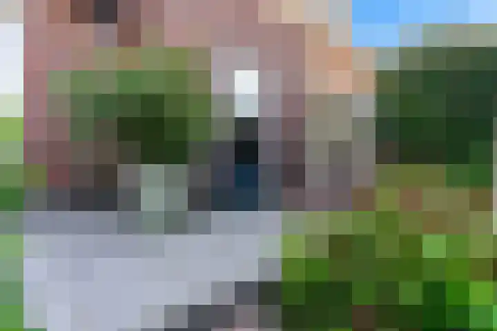 Koningspage 4 Driebruggen thumbnail 37