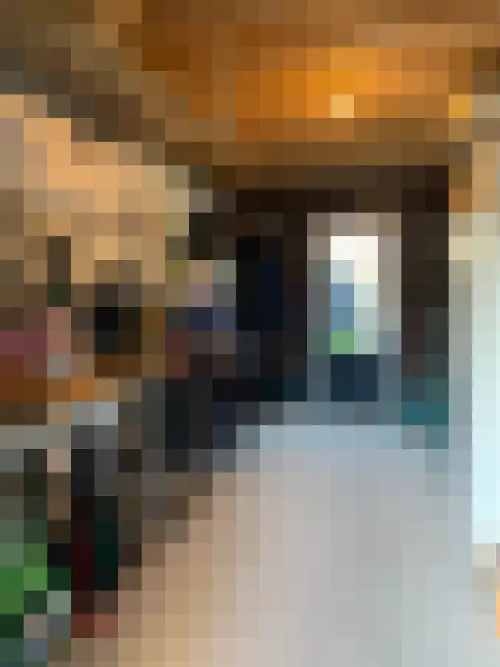 Koningspage 4 Driebruggen thumbnail 39