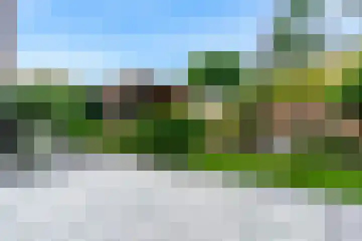 Koningspage 4 Driebruggen thumbnail 4