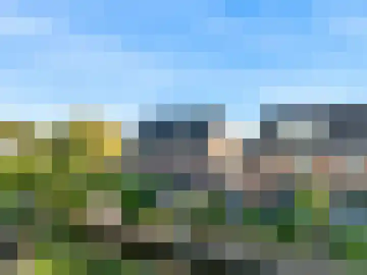 Koningspage 4 Driebruggen thumbnail 41