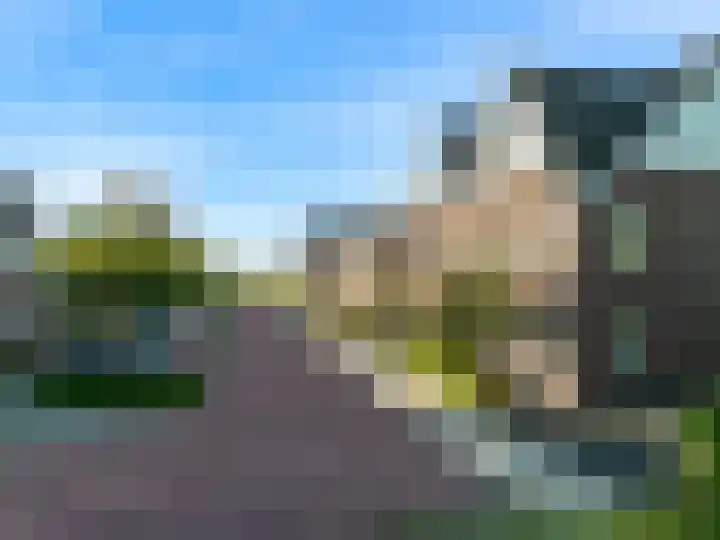 Koningspage 4 Driebruggen thumbnail 46