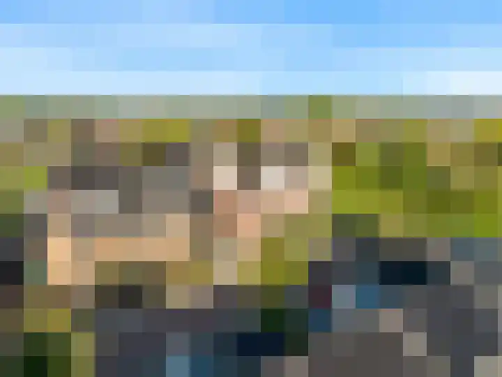 Koningspage 4 Driebruggen thumbnail 47
