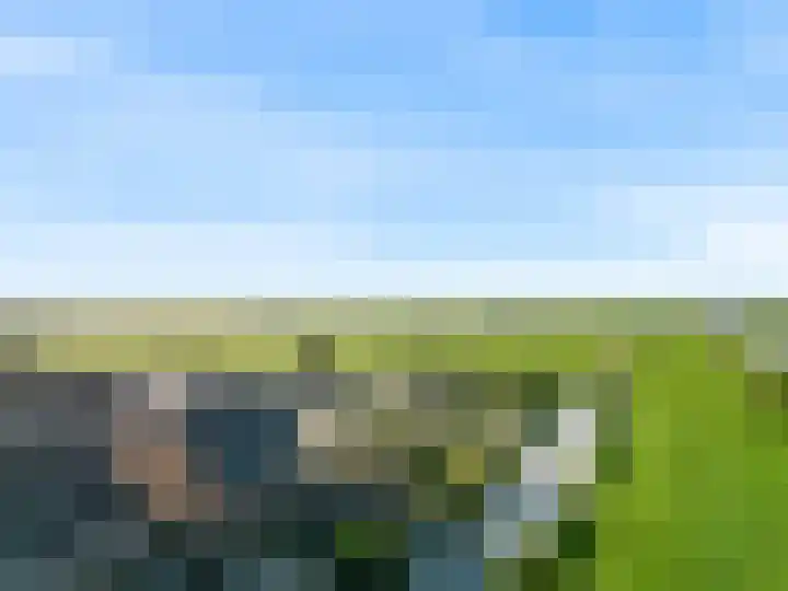 Koningspage 4 Driebruggen thumbnail 5