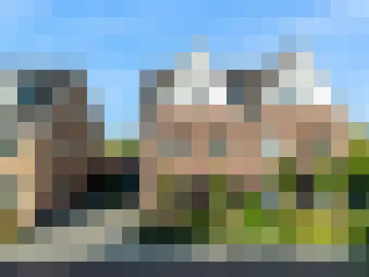 Koningspage 4 Driebruggen thumbnail 6