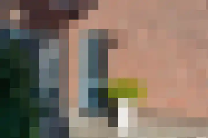 Koningspage 4 Driebruggen thumbnail 7