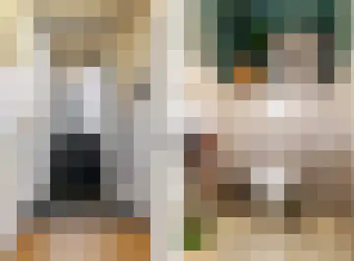 Koningspage 4 Driebruggen thumbnail 8