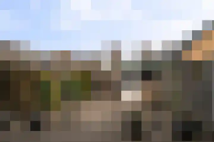 Koningspage 43 Beekbergen thumbnail 40
