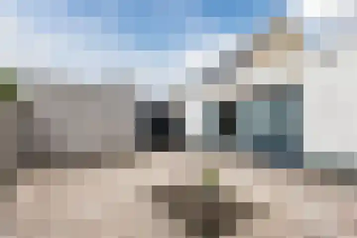 Koningspage 45 Nijkerk thumbnail 26